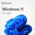 Microsoft Windows 11 Pro OEM