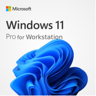 Windows 11 Pro for Workstation