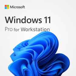 Windows 11 Pro for Workstation