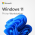 Windows 11 Pro for Workstation